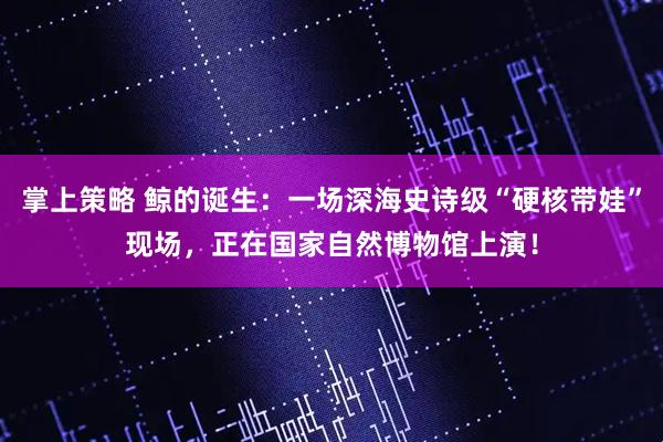 掌上策略 鲸的诞生：一场深海史诗级“硬核带娃”现场，正在国家自然博物馆上演！